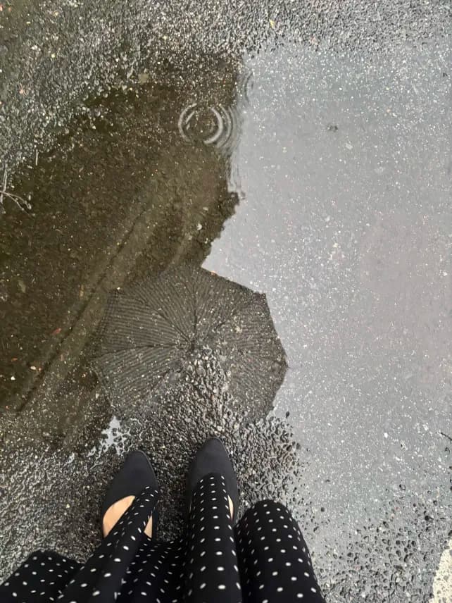 雨の日の水たまりと傘の反射